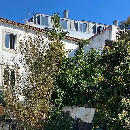 Cozy - Center, Sunny And Pratical *