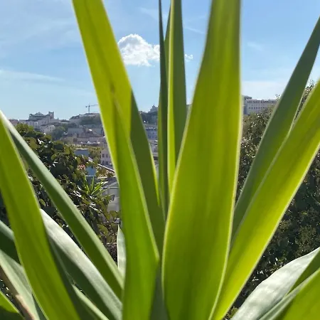 Cozy - Center, Sunny And Pratical * Lisboa