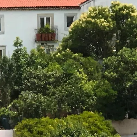 Lägenhet Cozy - Center, Sunny And Pratical