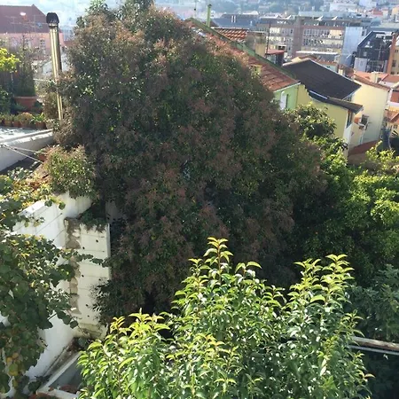 Cozy - Center, Sunny And Pratical Lisbon