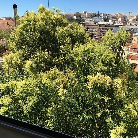 Cozy - Center, Sunny&pratical