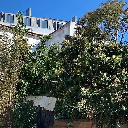 Cozy - Center, Sunny And Pratical * Lisboa