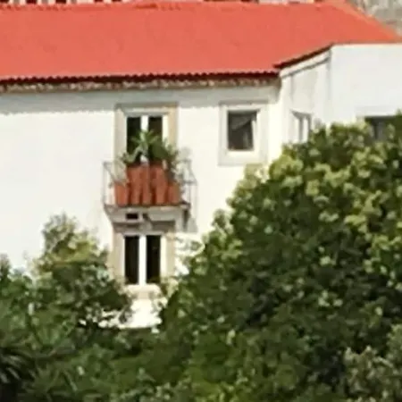 Cozy - Center, Sunny And Pratical Daire *