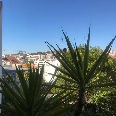 Apartman Cozy - Center, Sunny And Pratical