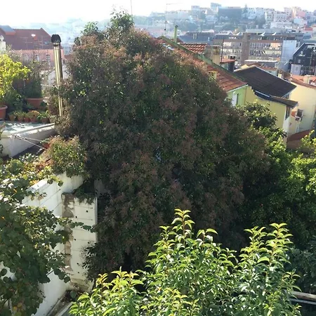 Cozy - Center, Sunny And Pratical Apartman *